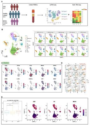 A distinct immune landscape in anti-synthetase syndrome profiled by a single-cell genomic study